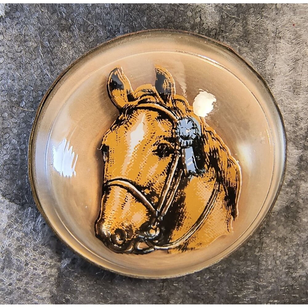 Antique Blue Ribbon Horse Bridle Button With Glass Dome & Brass Backing
